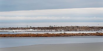 Tundra landscape, Churchill, Manitoba, Canada