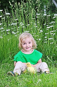 little girl playing with  fluffy duckling in  grass