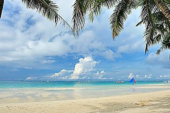 Beautiful beach with palm trees at Philippines