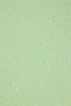Wallpaper in light green