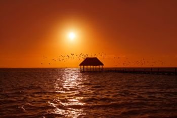 Holbox island sunset beach tropical hut pier in Mexico