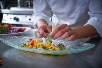 Chef hands garnishing ceviche dish in kitchen stainless steel board