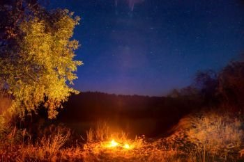 Fire at night in mountains. Fire at night in the forest under night sky with stars