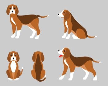 Various Poses of Dog Beagle, Simple Flat Style. Various Poses of Dog Beagle, Simple Flat Style - Illustration Vector