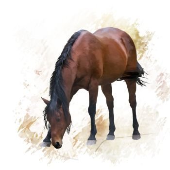 digital painting of Brown  horse . Brown  horse portrait