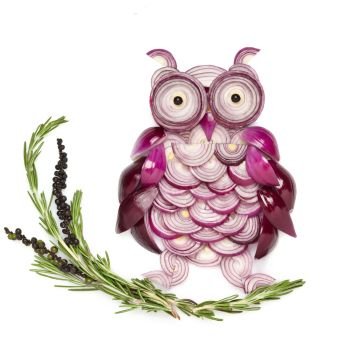 An owl made of onion sitting on the branch.