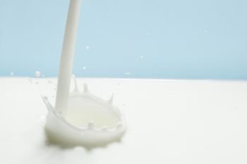 Pouring milk splash. Pouring milk splash on blue background close-up