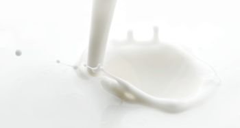 Pouring milk splash isolated on white background. Pouring milk splash