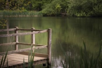 Shallow depth of field landscape image of peaceful Summer lake in English countryside