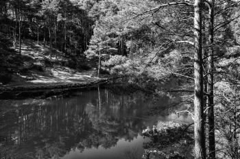 Beautiful landscape image of old clay pit quarry lake in black and white