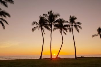 Hawaiian sunset. Beautiful scene in Hawaiian sunset