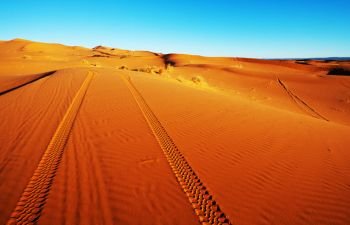 Sand desert. Scenic sand dunes in desert
