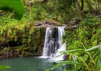 Waterfall in Hawaii. Beautiful waterfall in tropical rainforest in Hawaii island, USA