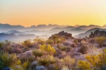 American landscapes. Beautiful landscapes of the American desert