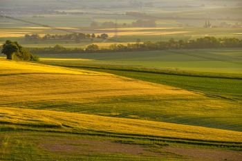 Rolling hills on sunset. Rural landscape. Green fields and farmlands, fresh vibrant colors, at Rhine Valley (Rhine Gorge) in Germany