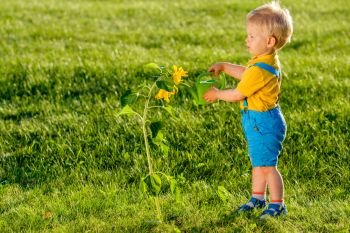 Portrait of toddler child outdoors. Rural scene with one year old baby boy using watering can for sunflower