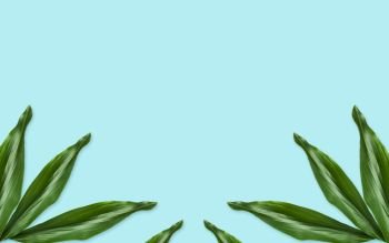 nature, organic and botany concept - green leaves on blue background. green leaves on blue background