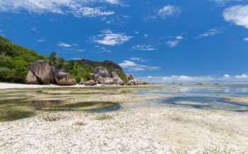 travel, seascape and nature concept - island beach in indian ocean on seychelles. island beach in indian ocean on seychelles