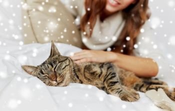 pets, comfort, rest and people concept - cat lying in bed at home over snow. cat lying in bed at home