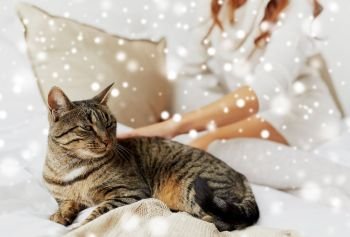 pets, comfort, rest and people concept - cat lying in bed at home over snow. cat lying in bed at home