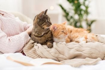 pets, hygge and people concept - close up of female owner with red and tabby cat in bed. close up of owner with red and tabby cat in bed