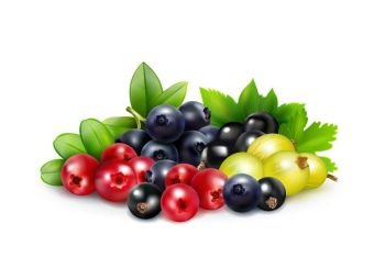 Berry Mix Realistic Concept . Berry mix realistic concept with leaves and branches of blueberry cranberry gooseberry   and black currant vector illustration