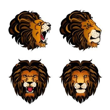 Collection Of Four Colored Lion Heads. Colored set of four isolated cartoon lion heads in different angles and moods on white background vector illustration