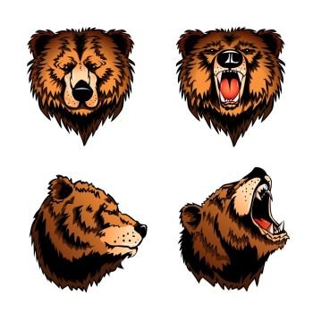 Colored Isolated Bear Heads. Colored set of four isolated bear heads in profile and front view on white background cartoon vector illustration