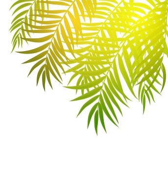 Beautifil Palm Tree Leaf  Silhouette Background Vector Illustration EPS10. Beautifil Palm Tree Leaf  Silhouette Background Vector Illustration