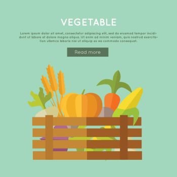 Vegetables vector banner. Flat design. Illustration of wooden box full of fresh farm plants on color background for web design. Farming concept with wheat, pumpkin, corn, beets, carrot . Vegetable Vector Web Banner in Flat Design. 