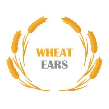 Wheat Ears vector banner in flat style design. New harvest, grain growing concept. Illustration for bakery, bread store, agricultural company logo design. Ripe ears with text on white background.. Wheat Ears Concept Illustration in Flat Design.