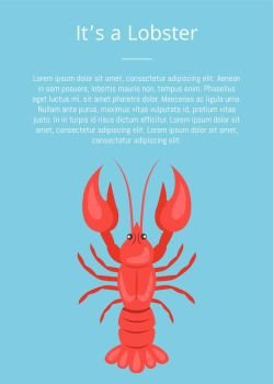 Its a Lobster Poster with Red Crayfish Vector Isolated. Its a lobster poster with red crayfish vector isolated on blue with text. Crawfish or crawdads, freshwater lobster, mudbugs or yabbies seafood