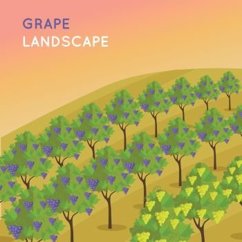 Vineyard Plantation of Grape-Bearing Vines. Wine landscape. Vineyard plantation of grape-bearing vines, grown for winemaking, raisins, table grapes and non-alcoholic juice. Vinegrove valley. Part of series of viniculture production. Vector