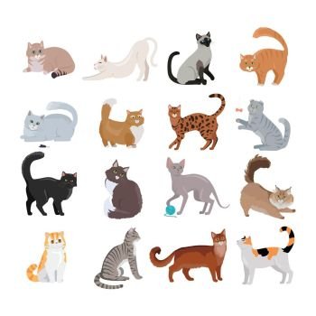 Set of Icons with Cats. Flat Design Vector.. Set of icons with cats. Flat design vector. Variety breeds cats in different poses sitting, standing, stretching, playing, lying. For veterinary clinic, pet shop advertising. Collection of kittens