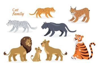 Cat family. Felidae. Pantherinae Tiger Lion Jaguar. Cat family. Felidae family of cats. Felids. Pantherinae comprising tiger, lion, jaguar, leopard, snow leopard, ounce and clouded leopards. Lion family. Big wild cats. Flat style Vector illustration