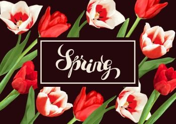 Spring background with red and white tulips. Beautiful realistic flowers, buds and leaves. Spring background with red and white tulips. Beautiful realistic flowers, buds and leaves.