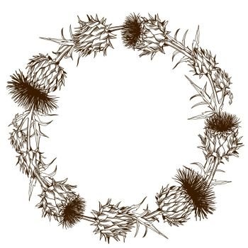 Decorative wreath with onopordum acanthium. Scottish thistle. Decorative wreath with onopordum acanthium. Scottish thistle.