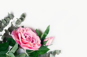 Roses with leaves. Pink Rose with green leaves, flat lay flower composition on white background