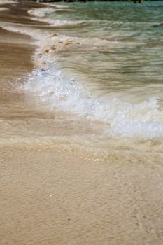 abstract foam in the beach   thailand kho tao bay coastline   and south china sea
