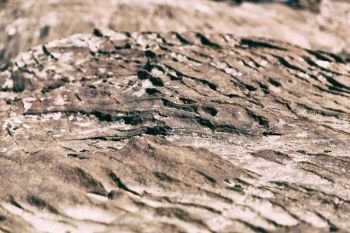 abstract background texture of the rock  in the nature and empty space concept of solid and surface