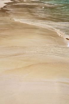 abstract foam in the beach   thailand kho tao bay coastline   and south china sea
