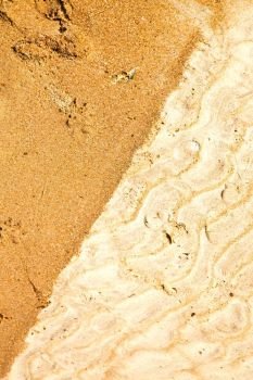 sand and the beach abstract thailand kho tao bay of a  wet  in  south china sea