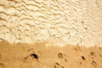 
sand and the beach abstract thailand kho tao bay of a  wet  in  south china sea