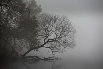 Autumn misty morning. Dawn on the foggy river. Autumn scene panorama. Trees over the water