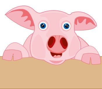 Cartoon piglet peering out for fence. Cartoon piglet peering out for fence.Vector illustration