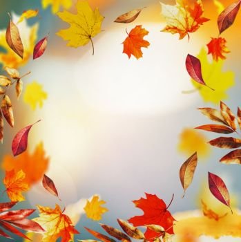 Autumn background with colorful falling leaves and bokeh, fall nature in garden or park, frame