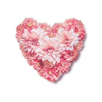 Heart made with pink flowers, isolated on white background, top view. Love, wedding or Valentines day concept. Layout for greeting card