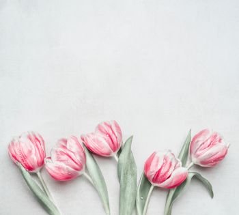 Lovely pastel pink tulips at light background, top view. Layout for springtime holidays. Mother day greeting card