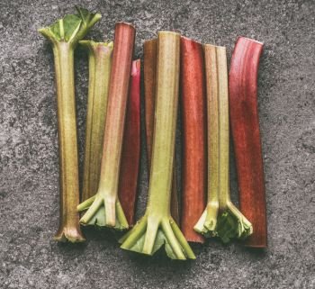 Fresh organic rhubarb stalks on gray granite table , top view. Healthy dieting and antioxidant food