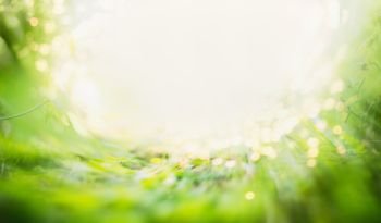 Blurred summer background with green grass and sun shine with bokeh